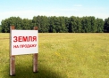 Продам земельный в с. Покровское