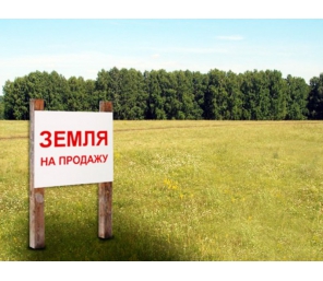 Продам земельный участок в с. Щербакова 