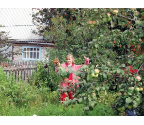 Куплю сад