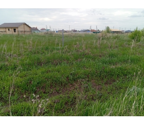 В продаже земельный участок д. Бекленищева.