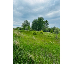 Продам земельный участок д. Брод 